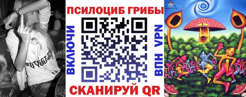 Псилоцибиновые грибы Psilocybe  shop телеграм  Электросталь 