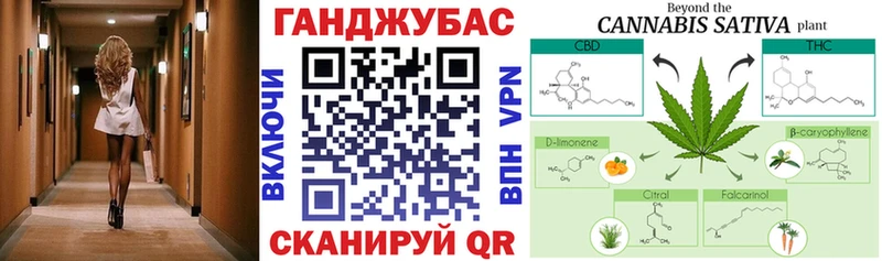 где можно купить наркотик  Электросталь  Бошки марихуана план 